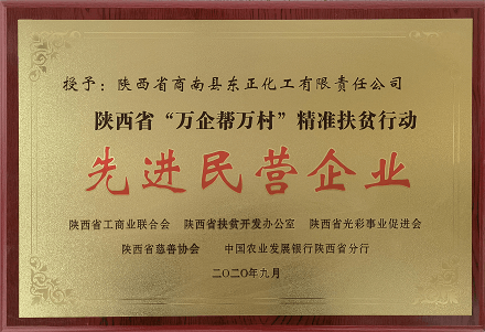 陕西先进民营企业
